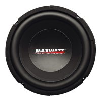 Maxwatt Storm MS-10HQ, отзывы