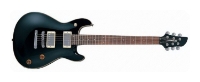 Fernandes Guitars APG-55, отзывы