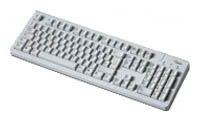Fujitsu-Siemens Tastatur KBPC O White PS/2, отзывы