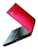 Lenovo IdeaPad U110 (Core 2 Duo 1600Mhz/11.1