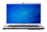 Sony VAIO VGN-FW355J (Core 2 Duo 2000Mhz/16.4