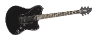 Fernandes Guitars Native Pro, отзывы