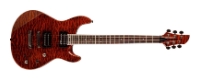 Fernandes Guitars Dragonfly Pro, отзывы