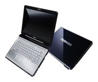 Toshiba SATELLITE U300-154 (Core 2 Duo 1660Mhz/13.3