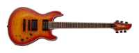 Fernandes Guitars Dragonfly Elite, отзывы
